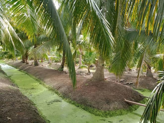 Real Estate from Banks _photo