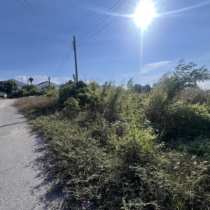 01 ที่ดินว่างเปล่า | นครปฐม สามพราน ท่าข้าม | 01-66-02142