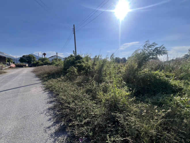 Real Estate from Banks _photo