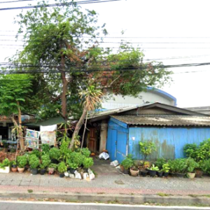 02 บ้านเดี่ยว | สมุทรสาคร กระทุ่มแบน อ้อมน้อย | 02-66-05463