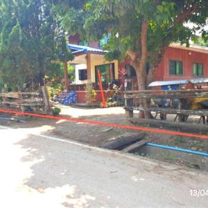 02 บ้านเดี่ยว | ลำพูน ลี้ ก้อ | 02-88-17440