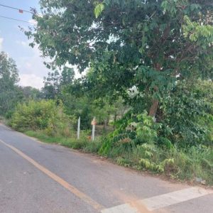 01 ที่ดินว่างเปล่า | ร้อยเอ็ด เมืองร้อยเอ็ด หนองแวง | 01-66-02150