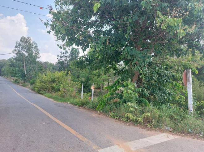 Real Estate from Banks _photo