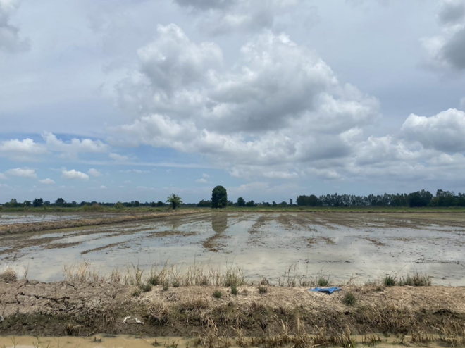 Real Estate from Banks _photo