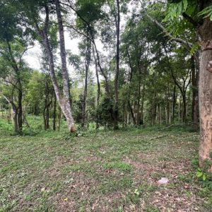 01 ที่ดินว่างเปล่า | จันทบุรี โป่งน้ำร้อน ทับไทร | 01-66-02153