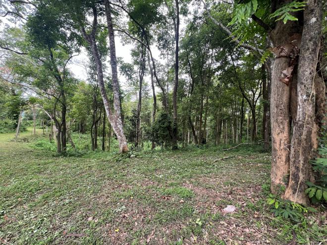 Real Estate from Banks _photo