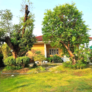 02 บ้านเดี่ยว | ลำปาง เมืองลำปาง ต้นธงชัย | 02-66-05466