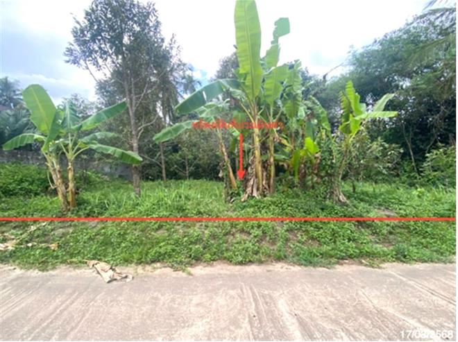 Real Estate from Banks _photo