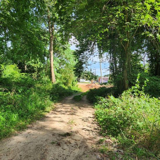 Real Estate from Banks _photo