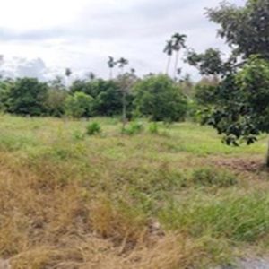 01 ที่ดินว่างเปล่า | นครศรีธรรมราช เมืองนครศรีธรรมราช กำแพงเซา | 01-66-02166