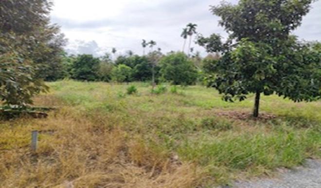 Real Estate from Banks _photo