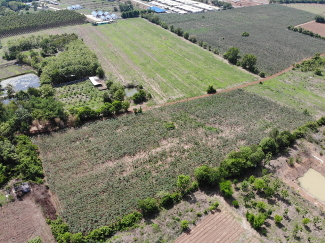 Real Estate from Banks _photo