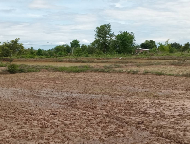 Real Estate from Banks _photo