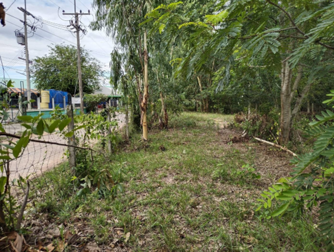 Real Estate from Banks _photo