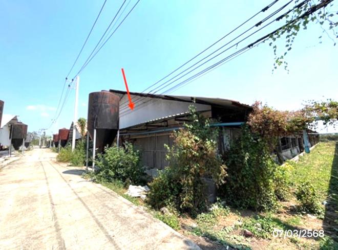 13 ฟาร์ม | ราชบุรี ปากท่อ หนองกระทุ่ม | 13-88-00122