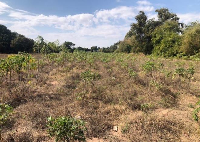 Real Estate from Banks _photo