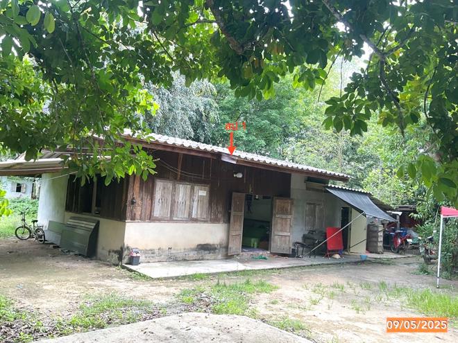 02 บ้านเดี่ยว | นครศรีธรรมราช ช้างกลาง หลักช้าง | 02-88-17285