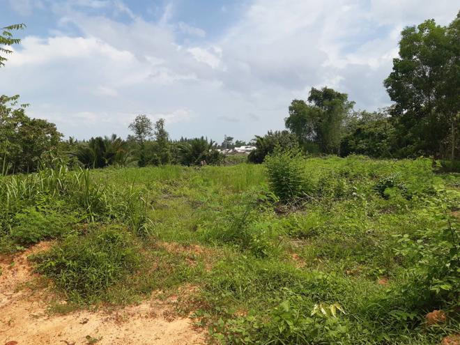 Real Estate from Banks _photo