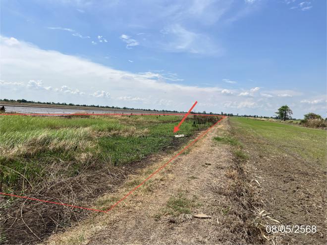 Real Estate from Banks _photo