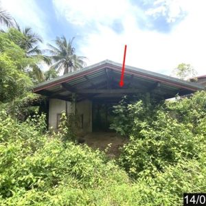 02 บ้านเดี่ยว | หนองคาย โพนพิสัย ชุมช้าง | 02-88-17339