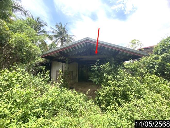 02 บ้านเดี่ยว | หนองคาย โพนพิสัย ชุมช้าง | 02-88-17339