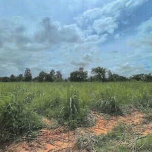 01 ที่ดินว่างเปล่า | หนองบัวลำภู ศรีบุญเรือง หนองบัวใต้ | 01-66-02179