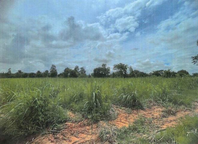 Real Estate from Banks _photo