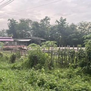 02 บ้านเดี่ยว | หนองบัวลำภู โนนสัง หนองเรือ | 02-66-05490