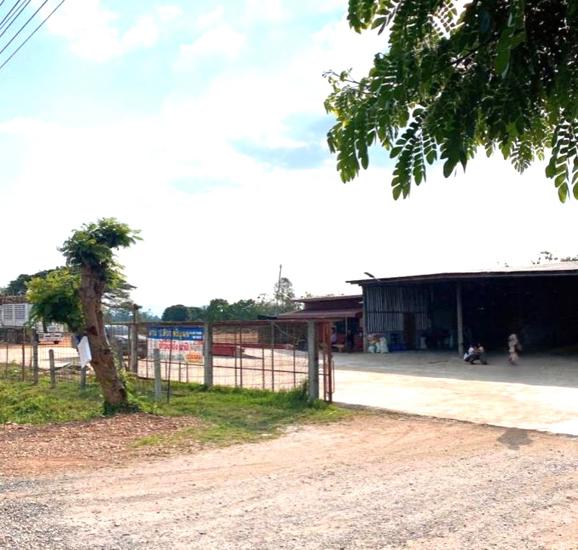 12 โกดัง | หนองบัวลำภู ศรีบุญเรือง ทรายทอง | 12-66-01325