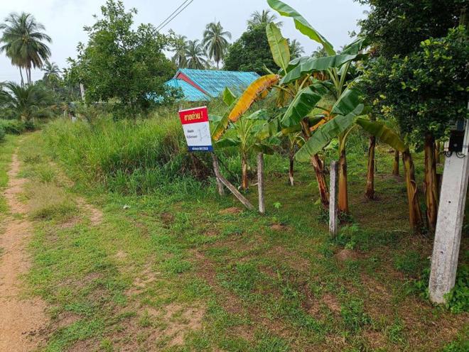 Real Estate from Banks _photo