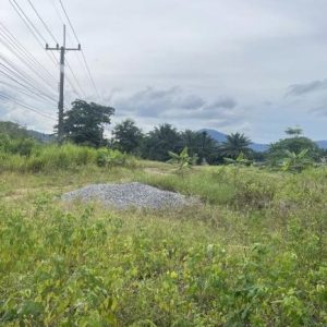01 ที่ดินว่างเปล่า | นครศรีธรรมราช สิชล ทุ่งใส | 01-66-02181