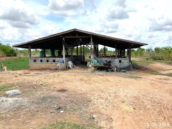 13 ฟาร์ม | ศรีสะเกษ ปรางค์กู่ กู่ | 13-88-00117