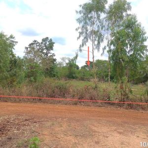 01 ที่ดินว่างเปล่า | อุบลราชธานี ม่วงสามสิบ หนองเมือง | 01-88-12435