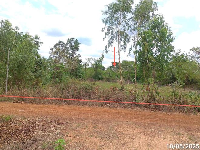 Real Estate from Banks _photo