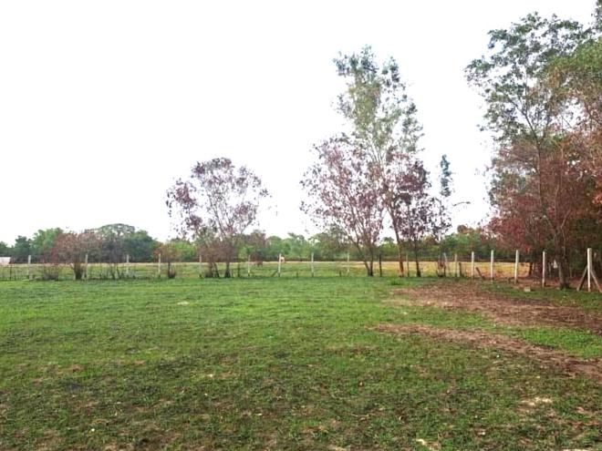 Real Estate from Banks _photo