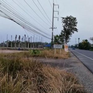 01 ที่ดินว่างเปล่า | เชียงราย เวียงป่าเป้า สันสลี | 01-66-02194