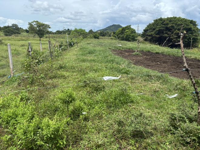 Real Estate from Banks _photo