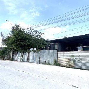 01 ที่ดินว่างเปล่า | นนทบุรี ปากเกร็ด บางพลับ | 01-66-02198