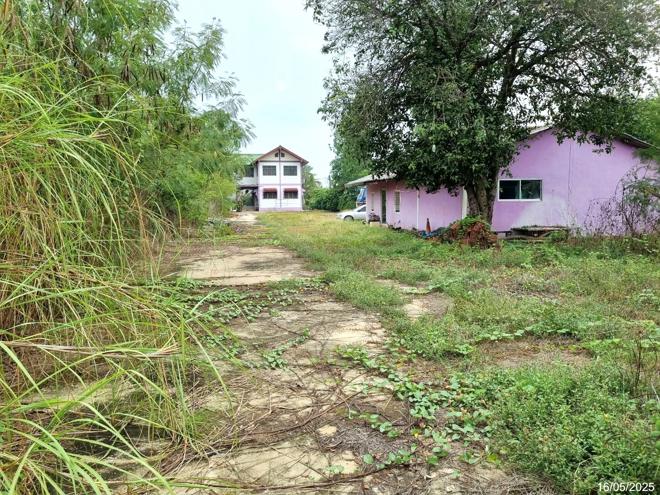 02 บ้านเดี่ยว | กาญจนบุรี ท่ามะกา หวายเหนียว | 02-88-17323