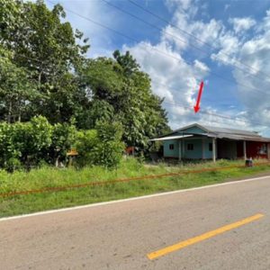 02 บ้านเดี่ยว | สกลนคร เมืองสกลนคร พังขว้าง | 02-88-17538