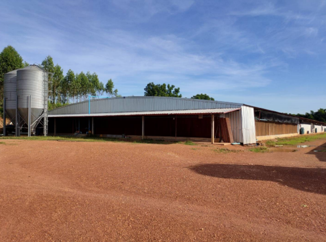 13 ฟาร์ม | ปราจีนบุรี กบินทร์บุรี ลาดตะเคียน | 13-66-00057