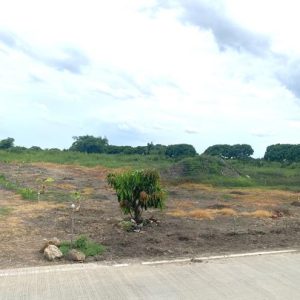 01 ที่ดินว่างเปล่า | นครปฐม เมืองนครปฐม ดอนยายหอม | 01-66-02200
