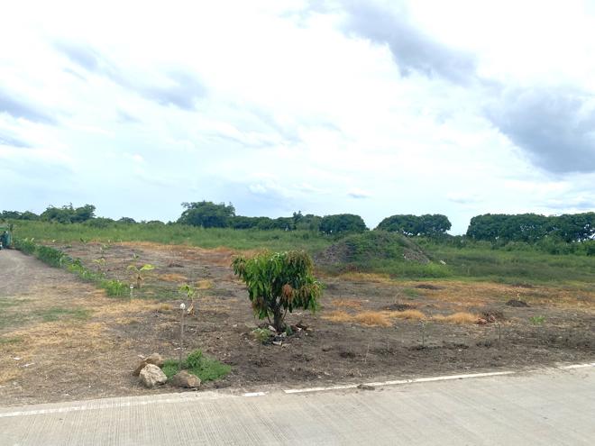 Real Estate from Banks _photo