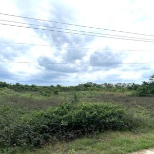 01 ที่ดินว่างเปล่า | นครปฐม เมืองนครปฐม ถนนขาด | 01-66-02201