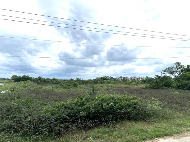 Real Estate from Banks _photo