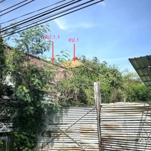 02 บ้านเดี่ยว | เพชรบูรณ์ หล่มสัก บุ่งน้ำเต้า | 02-88-17288