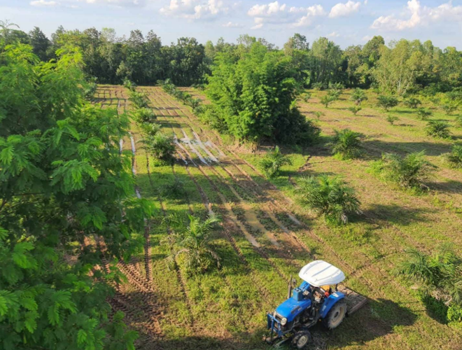 Real Estate from Banks _photo