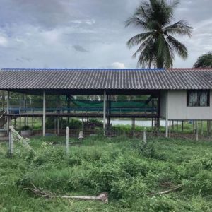 13 ฟาร์ม | ประจวบคีรีขันธ์ เมืองประจวบคีรีขันธ์ เกาะหลัก | 13-66-00058