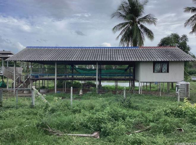 13 ฟาร์ม | ประจวบคีรีขันธ์ เมืองประจวบคีรีขันธ์ เกาะหลัก | 13-66-00058