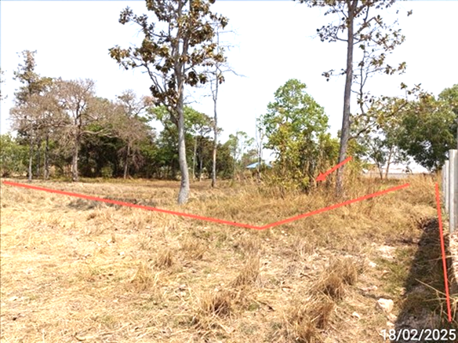 Real Estate from Banks _photo